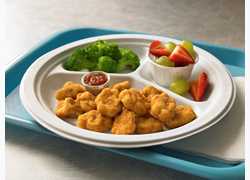 PERDUE® SNACK-ATIZERS® NO ANTIBIOTICS EVER, Fully Cooked, Whole Grain Breaded Chicken Breast Chunks, CN…<br/>(89541)